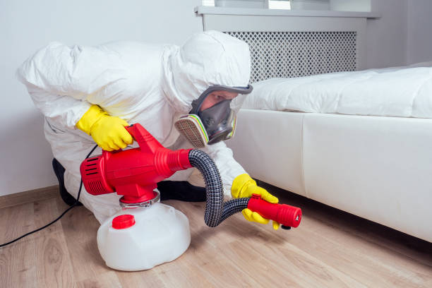 Best Rat Extermination Near Me  in South Wenatchee, WA